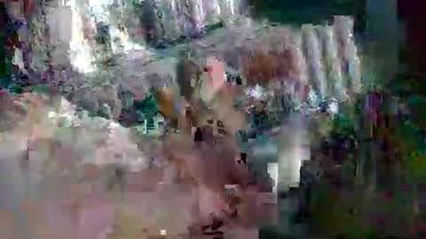 stud_1975 online show from 2, 3, 2025