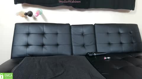 Snapshot of studiowahines chatting on 12, 3, 2025 StudioWahines online show from 12, 3, 2025