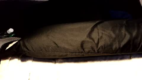 Snapshot of submissiveforu chatting on 17, 6, 2026 between my legs online show from 17, 6, 2026