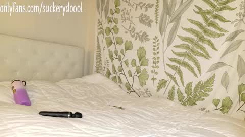 Snapshot of suckerydoool chatting on 1, 2, 2026 Maya online show from 1, 2, 2026