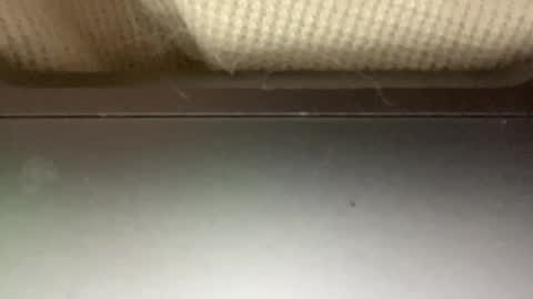 Snapshot of sugadee chatting on 4, 2, 2025 sugadee online show from 4, 2, 2025