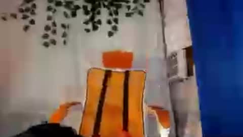 sugar_hotxx online show from 10, 7, 2026