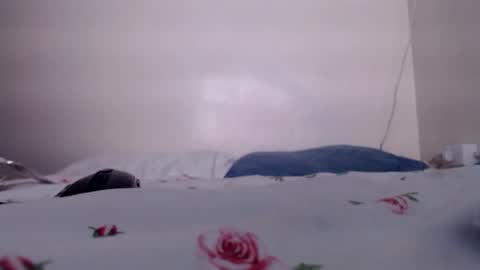 sukmykis online show from 17, 12, 2024