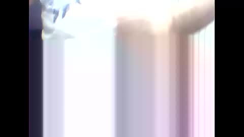 suleyman38 online show from 17, 2, 2025