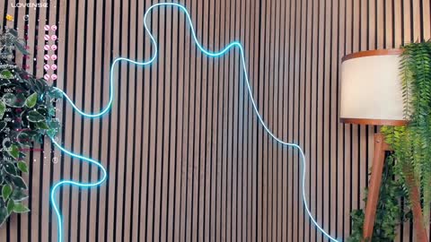 Nelly online show from 28, 1, 2025