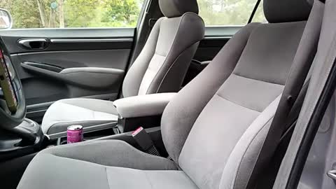 sunny valentine online show from 7, 10, 2025