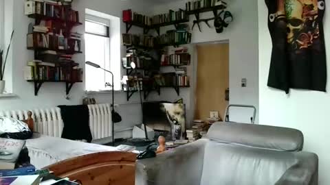 sunr1sa online show from 3, 1, 2025