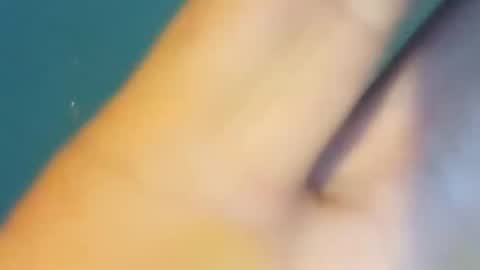 Snapshot of sunsweetsavage chatting on 14, 12, 2024 BIGDGEE online show from 14, 12, 2024