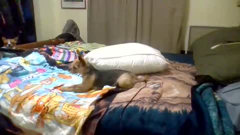 Snapshot of suntroll chatting on 10, 6, 2026 Suntroll online show from 10, 6, 2026