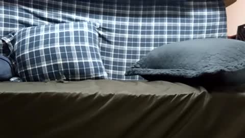 Super dave88 online show from 28, 9, 2025