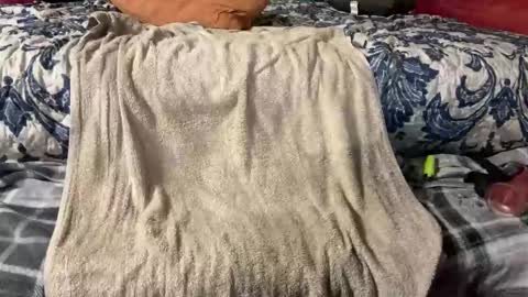 Stony online show from 3, 3, 2025