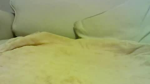 Peter online show from 10, 1, 2026