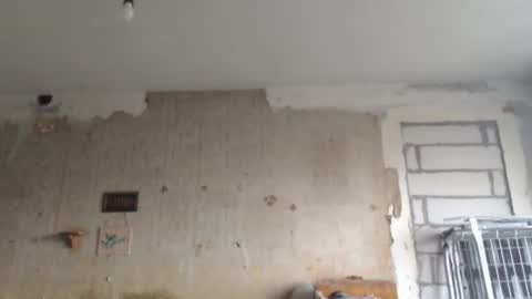 Sveti online show from 1, 2, 2025