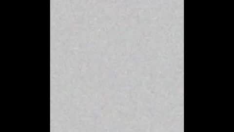 Eva and Tim online show from 26, 10, 2025