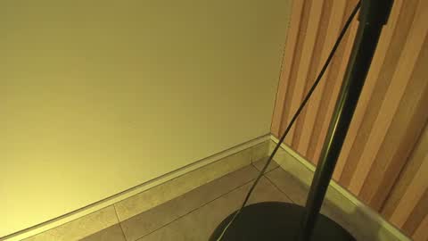 sweet__luna__ online show from 14, 7, 2026