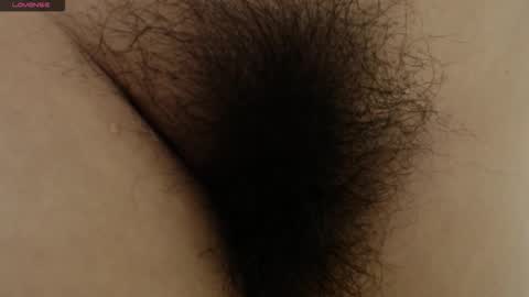 Barbara online show from 11, 1, 2026