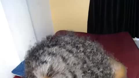 Snapshot of sweet_sherie chatting on 30, 9, 2025 ellanah Tracie online show from 30, 9, 2025