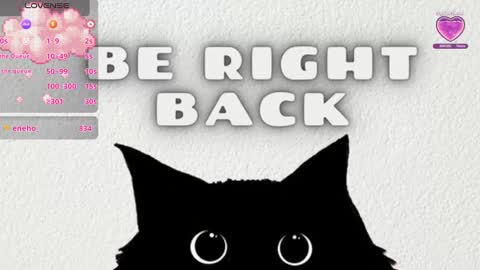 Snapshot of sweet_susy999 chatting on 13, 2, 2025 susy 222 online show from 13, 2, 2025