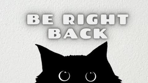       Independent model online show from 23, 1, 2025