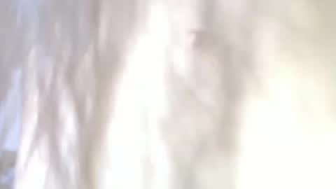 sweetdam12 online show from 30, 12, 2024