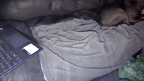 sweetgesus online show from 5, 1, 2025