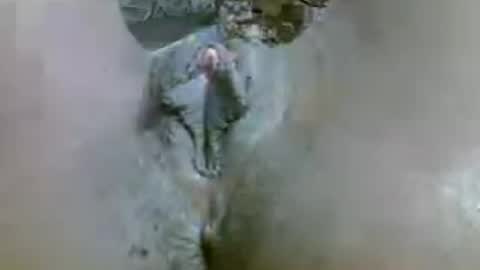 sweetkerry2 online show from 24, 7, 2026