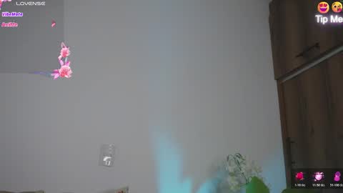 Hello Welcome Im here from WEDNESDAY to SUNDAY 430am to  830am and 3  to 7  timeMONDAY and TUESDAY i rest online show from 5, 3, 2026