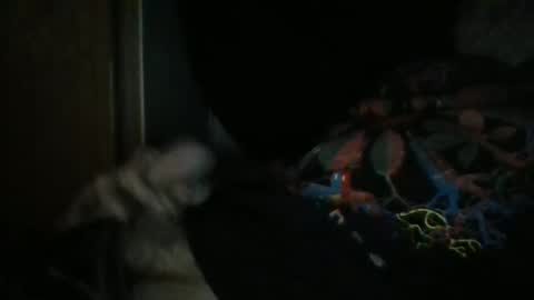 sweetpussylicks online show from 29, 12, 2024