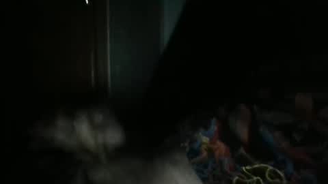 sweetpussylicks online show from 7, 2, 2025