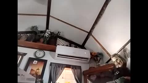 Snapshot of sweetsugar64 chatting on 3, 2, 2026 sweetsugar64 online show from 3, 2, 2026