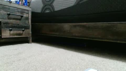 Snapshot of sxtn002 chatting on 20, 12, 2024 sxtn002 online show from 20, 12, 2024