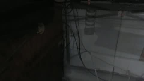 Snapshot of sxulx2c chatting on 14, 12, 2024 sxulx2c online show from 14, 12, 2024