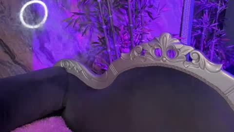 Sydney online show from 1, 4, 2026