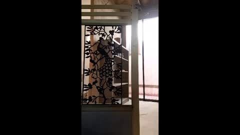 syevecrl online show from 31, 1, 2026