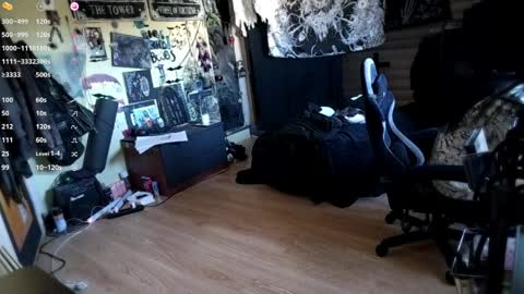 Lina online show from 10, 4, 2026