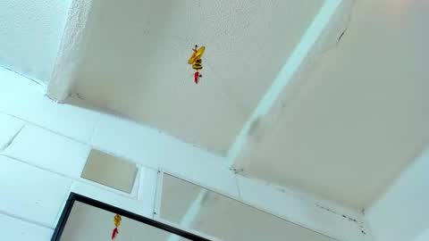 Tafari Zulu online show from 2, 3, 2026