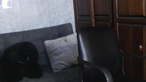 Tairon Tucke online show from 18, 12, 2024