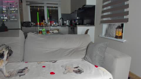 Taison online show from 4, 1, 2025