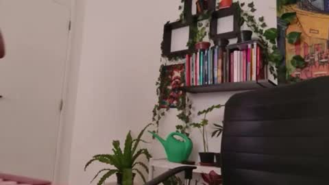 Tali Majid online show from 6, 1, 2026