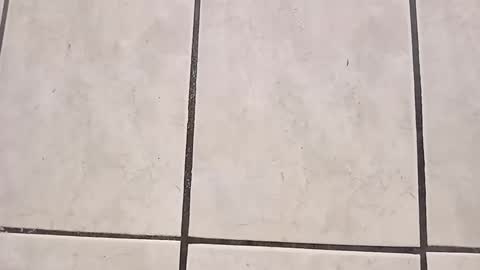 Snapshot of tall6feet7inch chatting on 28, 9, 2025 tall6feet7inch online show from 28, 9, 2025