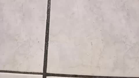 Snapshot of tall6feet7inch chatting on 29, 9, 2025 tall6feet7inch online show from 29, 9, 2025