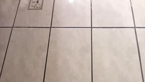 Snapshot of tall6feet7inch chatting on 1, 10, 2025 tall6feet7inch online show from 1, 10, 2025