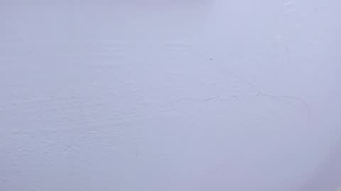 Tamara online show from 9, 2, 2025