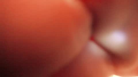 Tamara. online show from 10, 9, 2025