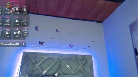 Tamy Vega online show from 8, 3, 2026