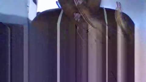 Tanaya1 online show from 10, 10, 2025