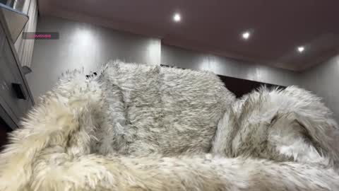 Tank Guy online show from 29, 3, 2026