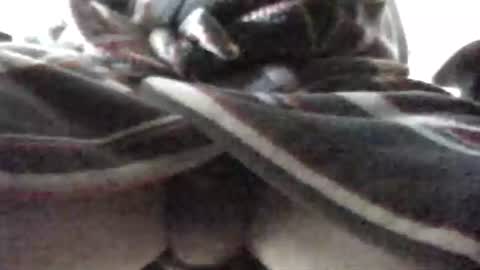 Patrick online show from 16, 2, 2025