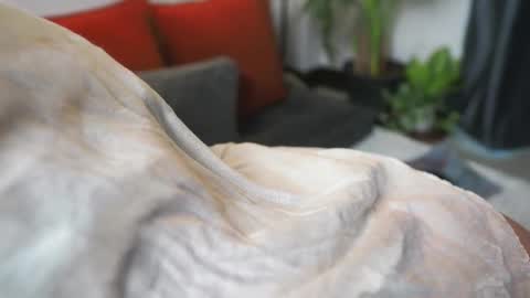 Snapshot of tasty_tomato chatting on 21, 2, 2025 RHEA  pronanciation like Reya   online show from 21, 2, 2025