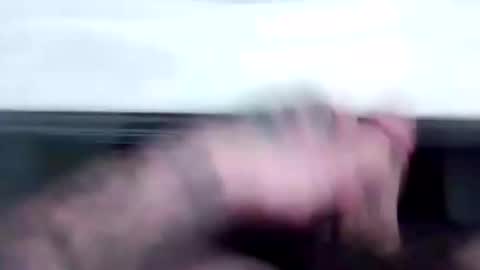 tattednhard6969 online show from 14, 12, 2024